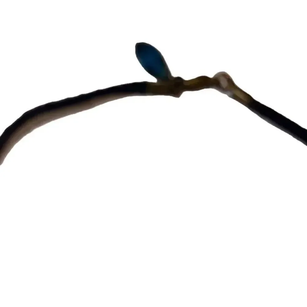 Handcrafted leather cord necklace with quartz Gem stone
